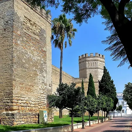 Velo De Flor Jerez * Jerez de la Frontera